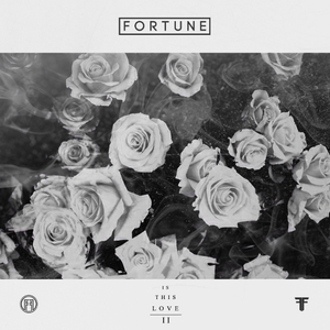 欧美三级在线播放
