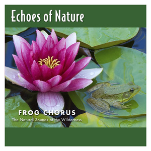 欧美三级在线播放
