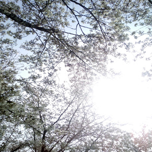 欧美三级在线播放
