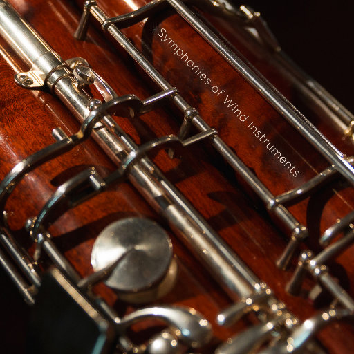 欧美三级在线播放
